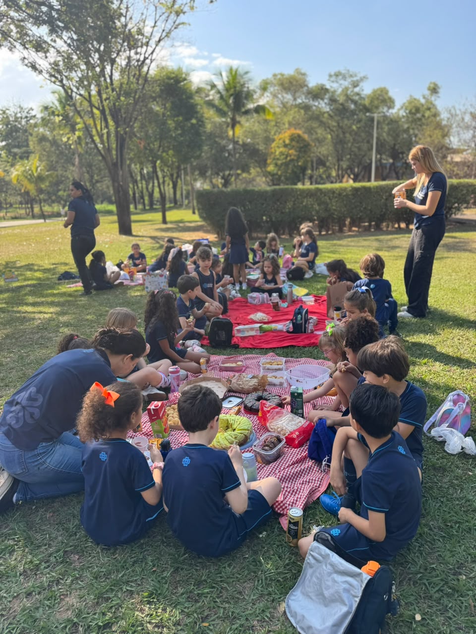 Estrutura 14